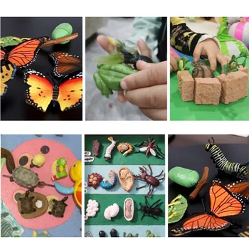 Simulácia Zvieratá Života Cyklu Rastu Modely Deti Hmyzu Kognitívne Vzdelávacích Hračiek, Hady, Kuracie Mäso, Motýľ Životného Cyklu Deco